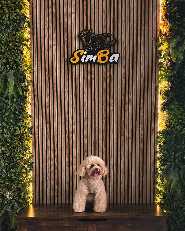 La Boutique De Simba perro