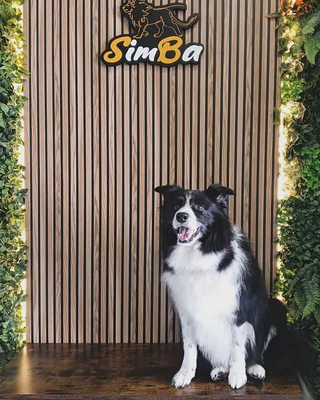 perro en peluquería